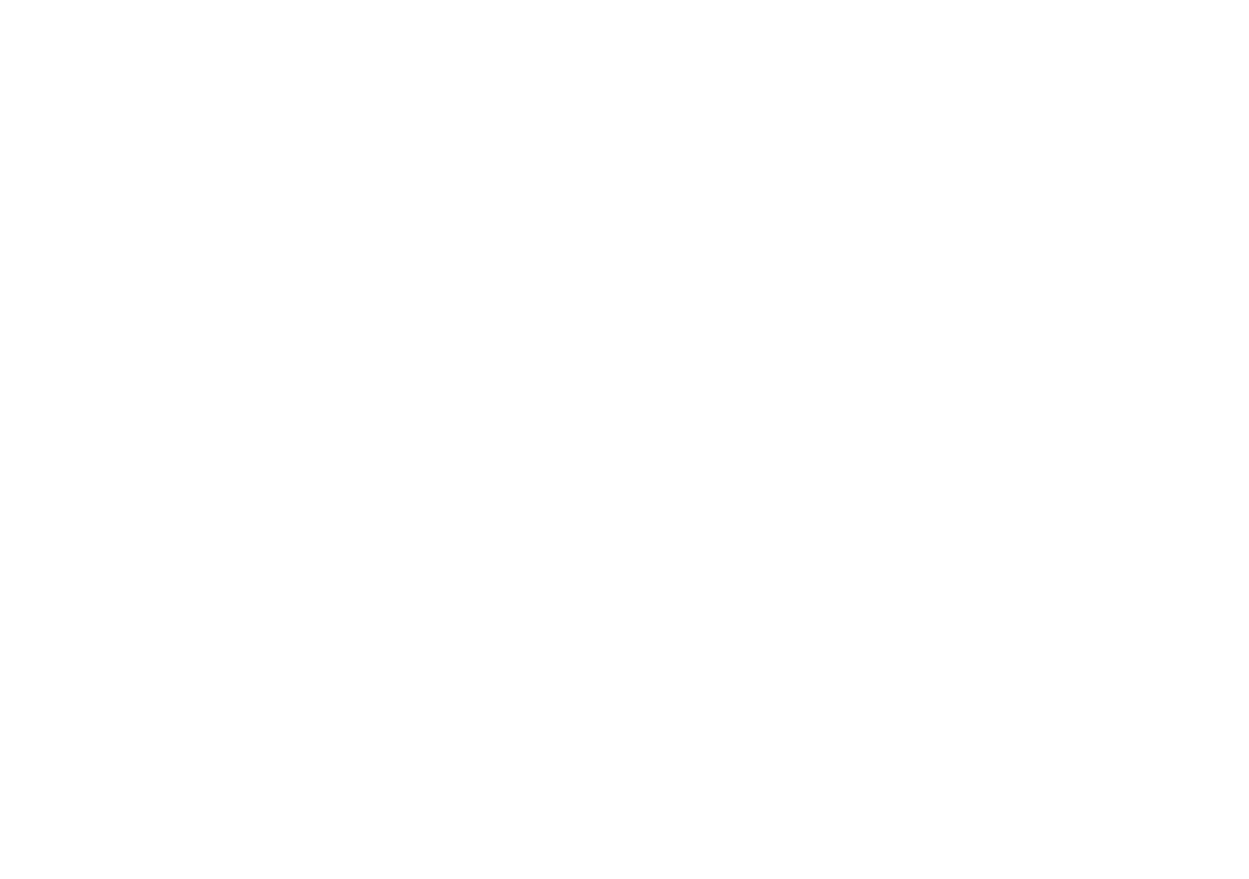 Smart Life Group